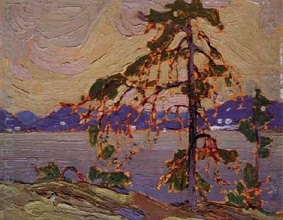 Tom Thomson Oil sketch for The Jack Pine china oil painting image